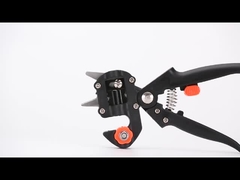 Injerto de las tijeras